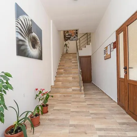 Elidis פרימורסקו